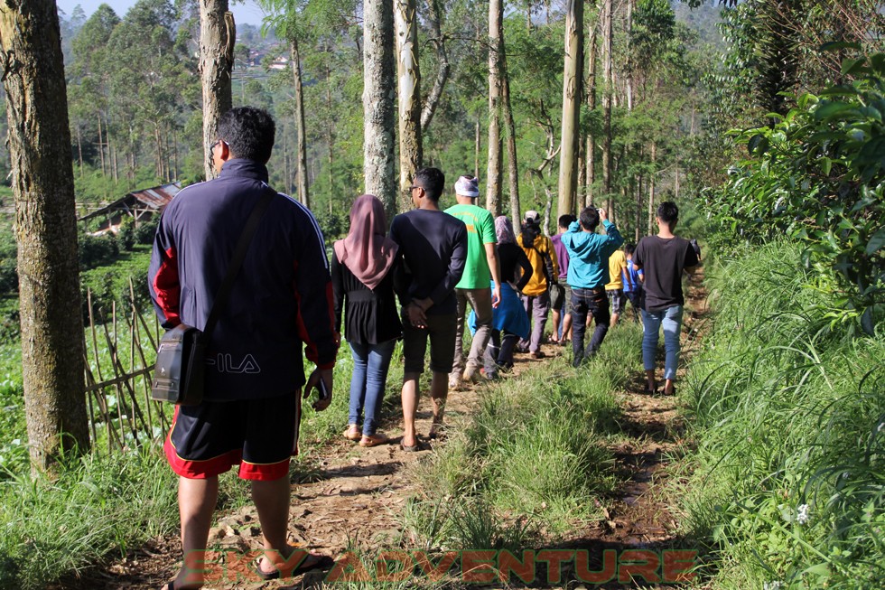 Outbound -Rafting -Fun Game -Hikking -Tea Walk -Menginap di tepi danau Situ Cileunca-BCA Finance Tasikmalaya Jawa Barat, Indonesia (61)