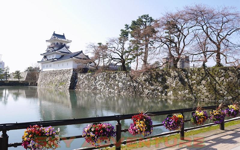 Wisata Jepang Jatuh Cinta Yang Tak Terlupakan | OUTBOUND LEMBANG