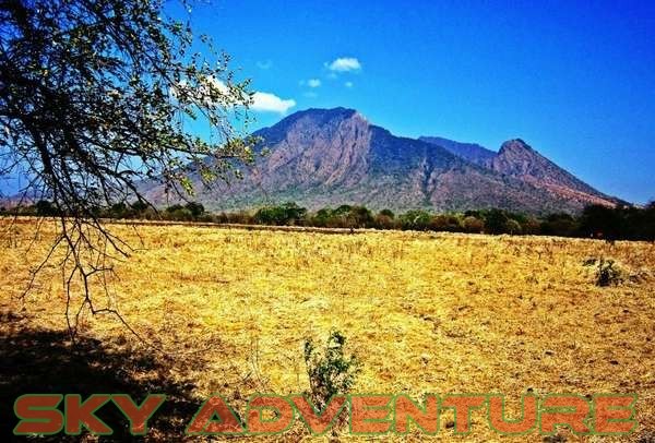 baluran africa van java