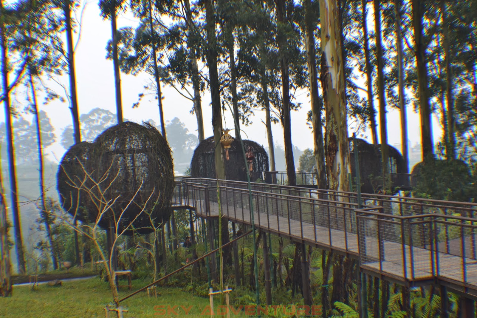 Dusun Bambu Lembang  OUTBOUND LEMBANG BANDUNG-SKY 