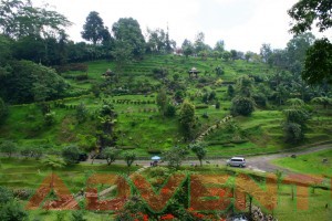 Kebun Raya Cibodas Cianjur Jawa Barat View