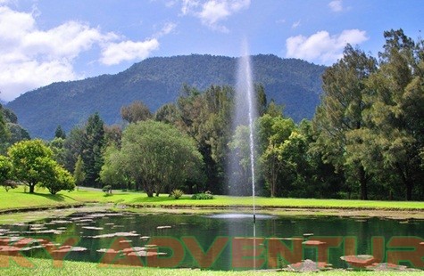 Kebun Raya Cibodas Cianjur Jawa Barat