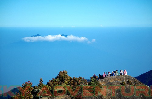 Taman Nasional Gunung Gede Pangrango Tnggp Cibodas Bogor 3