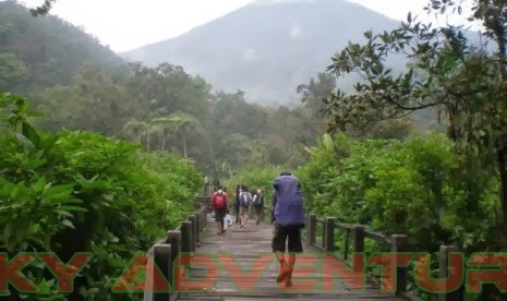 Taman Nasional Gunung Gede Pangrango Tnggp Cibodas Bogor