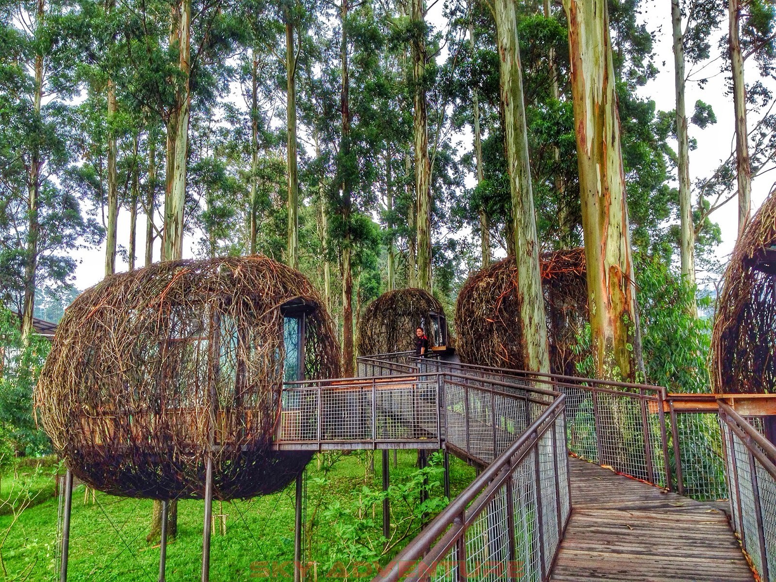 Nikmati Kamping dan Outbond Bandung Super Nyaman di Dusun Bambu 3