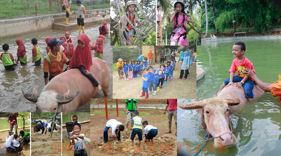 One Stop Edutainment di D’Kandang Amazing Farm Depok 2