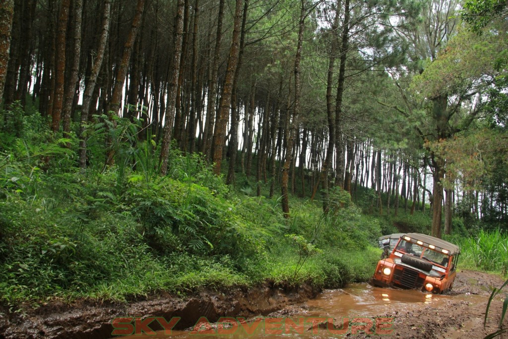 keep calm stay Offroad 31