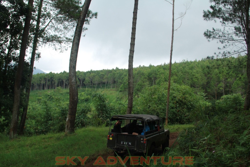 keep calm stay Offroad 5